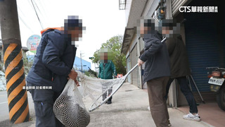 獵人認了「開槍殺狒狒」　稱受新竹農業處委託