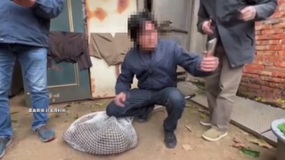 桃農政機關圍捕狒狒後擺拍 張善政出聲：善待動物、尊重生命