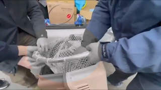 獵人疑背鍋？林姓獵人聲明稱：六福村獸醫要我開 控農業局知情