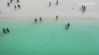 泰國瑪雅灣重啟觀光　遊客湧入鯊魚數量減少