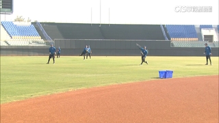 最新世界棒球排名出爐　台灣退步2名排第4