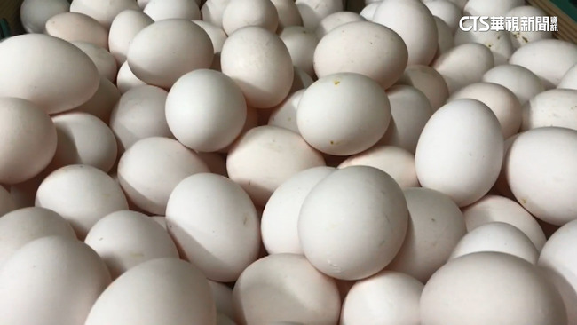 平價進口雞蛋來了！今雙北開賣　農委會：4/1起擴大至全台 | 華視新聞