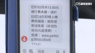 誆補繳eTag過路費真盜刷　詐團假6千登記網行騙