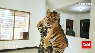泰國野生物種鑑識實驗室　採盜獵者DNA抓人