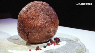 穿越4千年的美味？　提長毛象DNA做肉丸