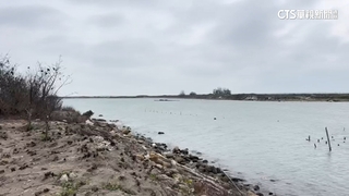 台灣西海岸現16遺體　專家：恐缺廉價工導致