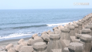 追浮屍落水原因　高大成：解剖查海藻.食物