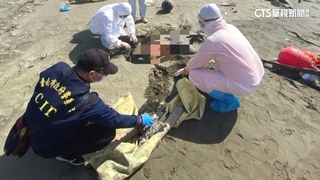 刑事局查沿海20浮屍　曝14越南人偷渡名單已7死
