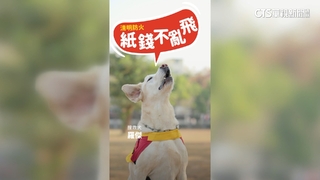清明防火出奇招　高市超萌搜救犬出任宣導大使