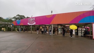 狒狒枉死槍下犯眾怒　六福村連假首日未見人潮