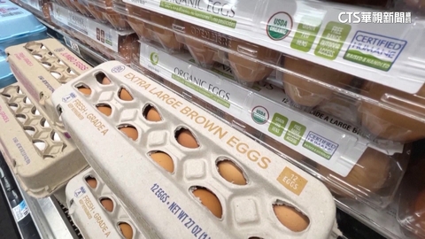 蛋價飆漲　CNN：美最大蛋商淨利暴增718％