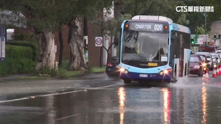 澳洲「馬路淹成小河」　雪梨降豪雨釀洪災