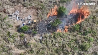 清明掃墓傳火警！　疑燒金紙釀大火　堂兄弟遭移送