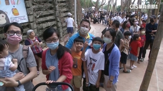 兒童節全家出遊！　人潮擠爆北、高動物園