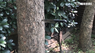 醫院門口持刀亂射　老翁稱「好玩射鳥」