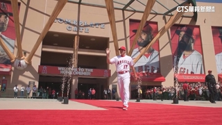 大谷翔平主場「SHO-TIME」　走紅毯迷路萌翻球迷