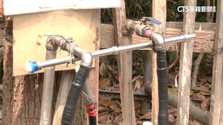 高雄大坪頂湧山泉水　民眾提水桶跨區裝水