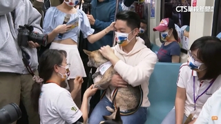 蔣萬安先後見「芯費」　調停戰火關心溝通