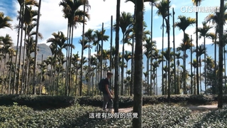 高市推12場「山城小旅行」秒殺　組團最高補助7千