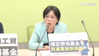 劉世芳不拚連任立委　高雄左楠區綠營誰接棒？