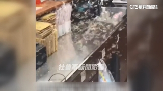 頭皮發麻！　大批飛蟻聚　店員嚇壞躲避