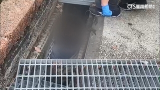 電影「牠」真實上演！　男潛入三重校園「躲水溝」