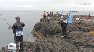 澎湖磯釣賽　漁獲全數捐.海保署推友善釣魚