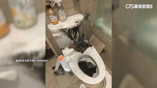 驚魂！免治馬桶突自燃　網喊「險成火燒屁股」
