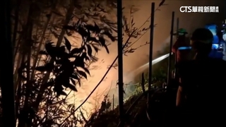 高雄田寮山林大火　今晨撲滅無人受傷