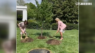 日相夫人訪美固邦誼　植「吉野櫻」象徵友誼長存