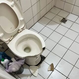 手機意外「砸碎馬桶」慘噴6900 網笑翻：是拿3310嗎？