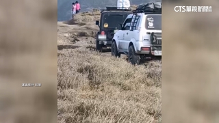 七彩湖又見吉普車亂輾箭竹林　警加強調查