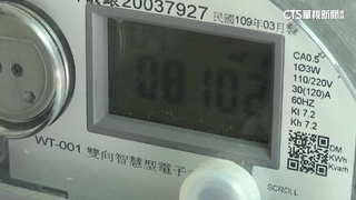 台電購電比例漸增　民營電廠將成台發電要角