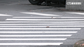 去年交通死亡數10年新高　立委籲鋪「顏色路面」