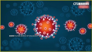 變異株「大角星」爆全球首例死亡！　入侵台已11例