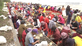 金門石蚵文化季睽違3年展開！　上千人齊聚海堤剝蚵