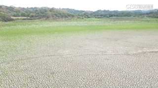 南部水情未改善　高雄觀音湖乾涸龜裂