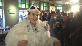 幫「牠」洗刷污名　歐洲海鷗模仿大賽競爭激烈