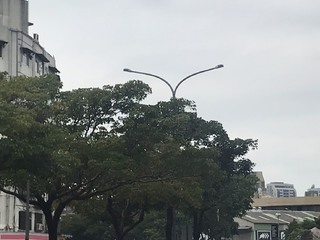 北部回溫、中南部天氣穩定！入夜後變天、東北季風增強 水氣增加溫度降