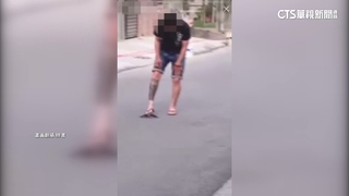 刺青男射殺歸巢燕子　網友炸鍋肉搜