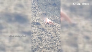 蘭嶼旅遊夯！遊客爬象鼻岩.情人洞拍照　亂象惹議