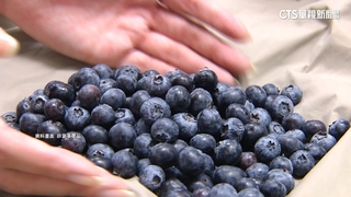 好市多又驗出兩款A肝莓果　薛瑞元：即起暫停輸入