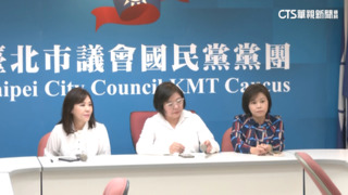 打美女刺客牌　李明璇返鄉挑戰綠委賴瑞隆