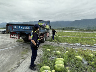 護瓜心切！花蓮玉里大西瓜正值採收期　警方展開「陸空作戰」防宵小