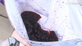 好市多召回「同效期」藍莓　食藥署：預防性下架