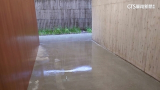 新竹永恆之丘選位延期　高虹安：積水未解決