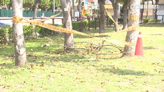 被勸別亂丟垃圾？認錯人？　男爆打公園清潔員