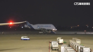 全球僅五架　「空巴大白鯨」貨機首現身桃機