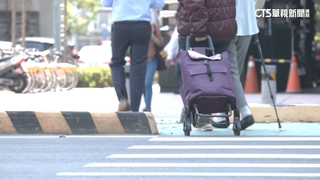 斑馬線退縮.設庇護島　時力記者會促行的安全