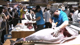 鮪魚季5月登場　超市「現切秀」吸睛民眾搶購
